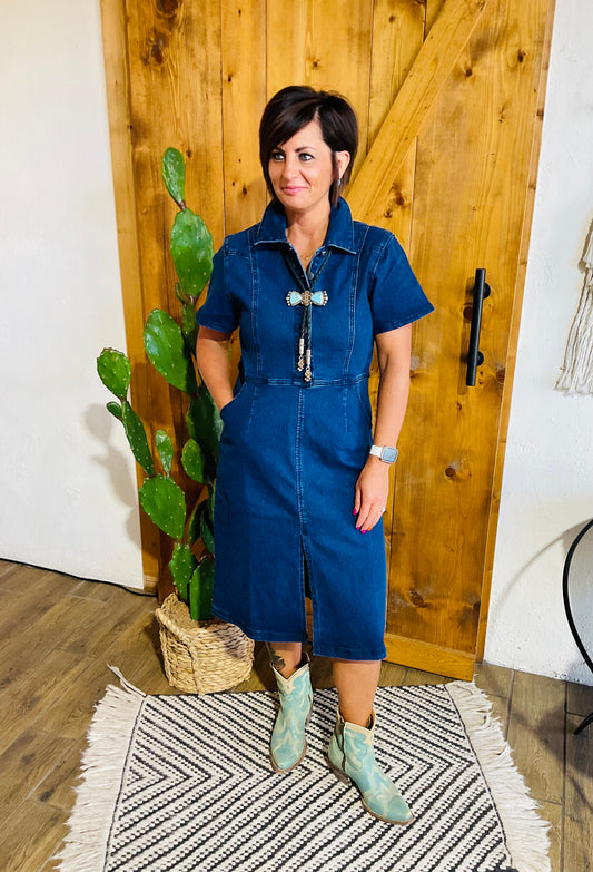 Dillion Denim Dress